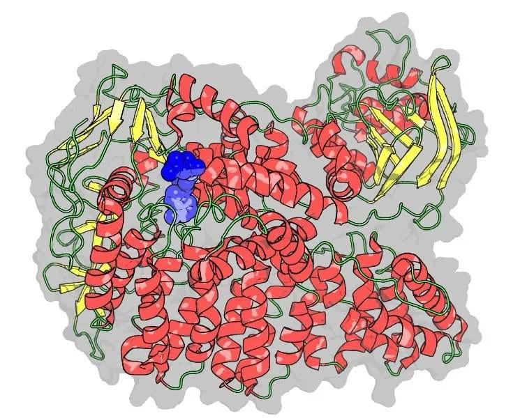 ‘Pesticide pioneers’: University of Idaho research team taking novel approach to develop new fungicides for potato farmers
