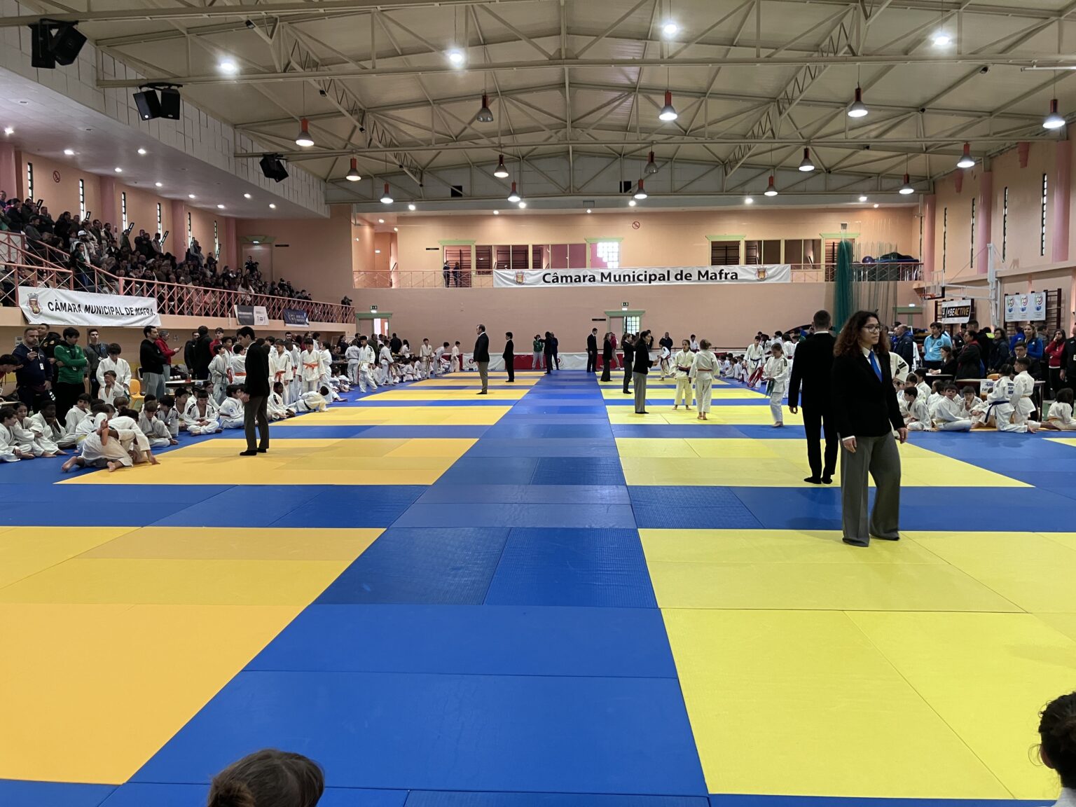 Opportunity and Efficiency / IJF.org