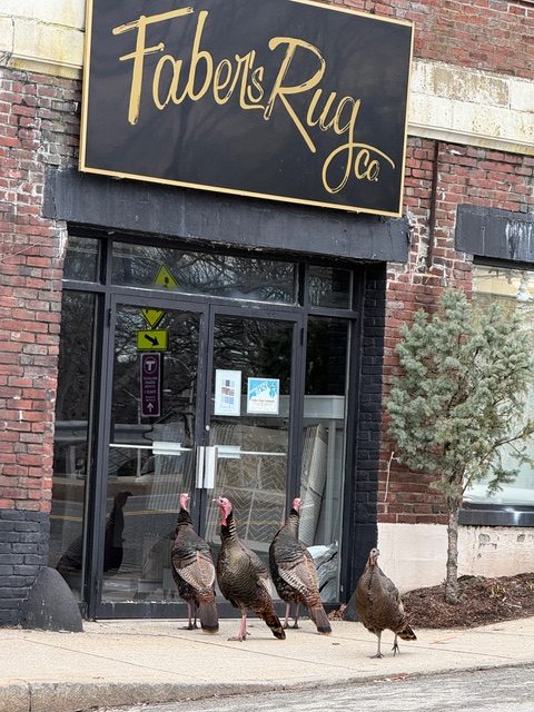 Boston Medical Center, Wellesley