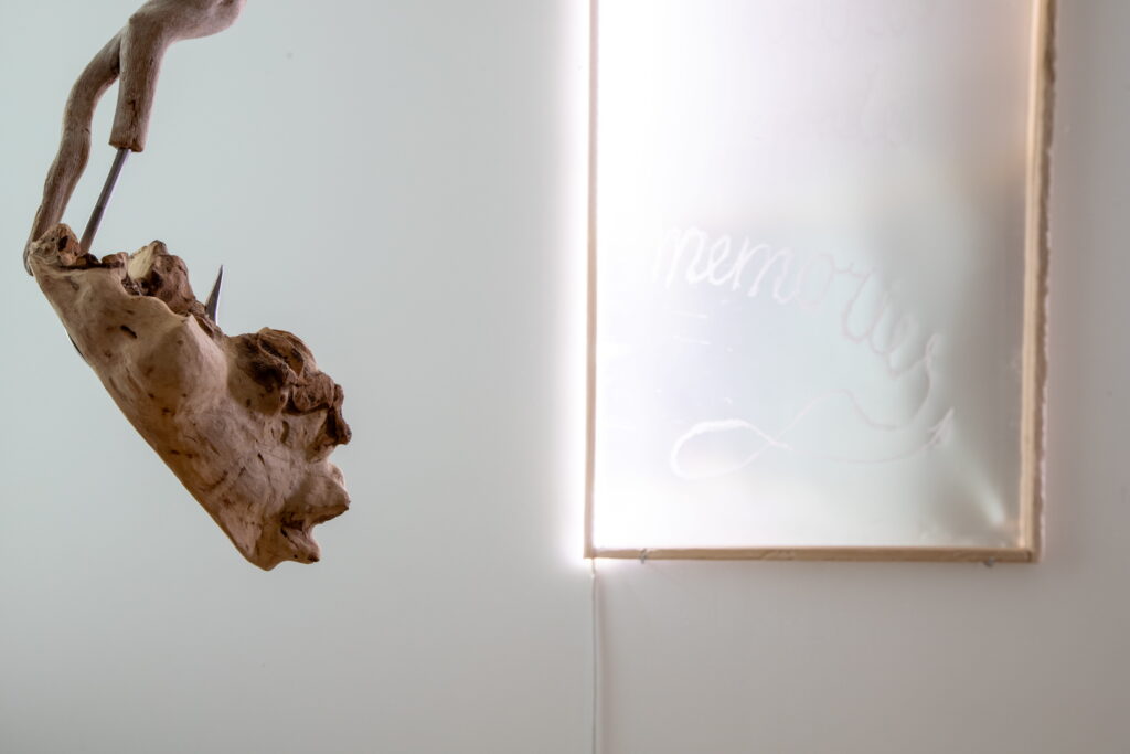 Ieva Rižė, “Swallow”, 2024, installation, multimedia (objects, video work), Darius Matonis, Kauno Menininkų Namai. Courtesy of the artist