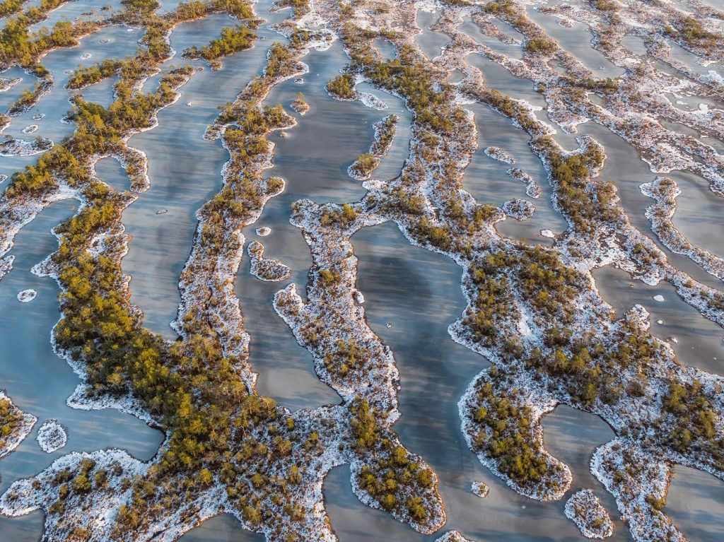 Kakerdaja bog in Estonia. Photo by Kaupo Kalda.