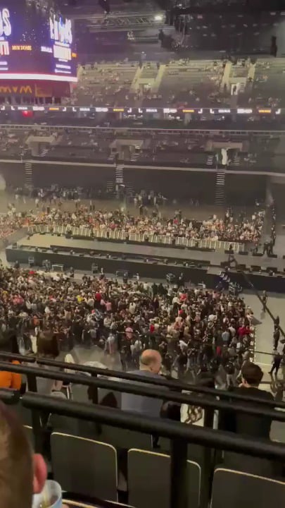 The cat tree decoration is also roaring at the Pamkutya concert