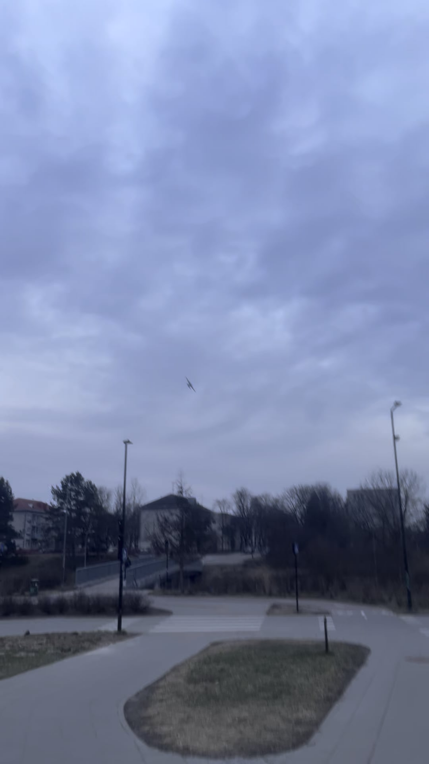 Who is running such low circles around Vilnius? Already two have passed along the ground.