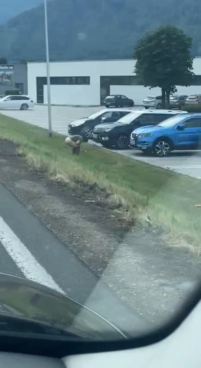 Defäkieren in Public