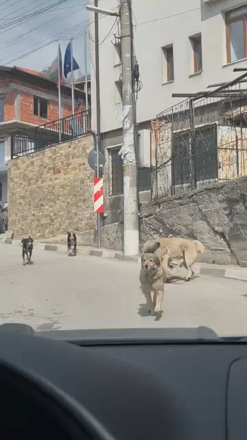 Average Bulgarian village