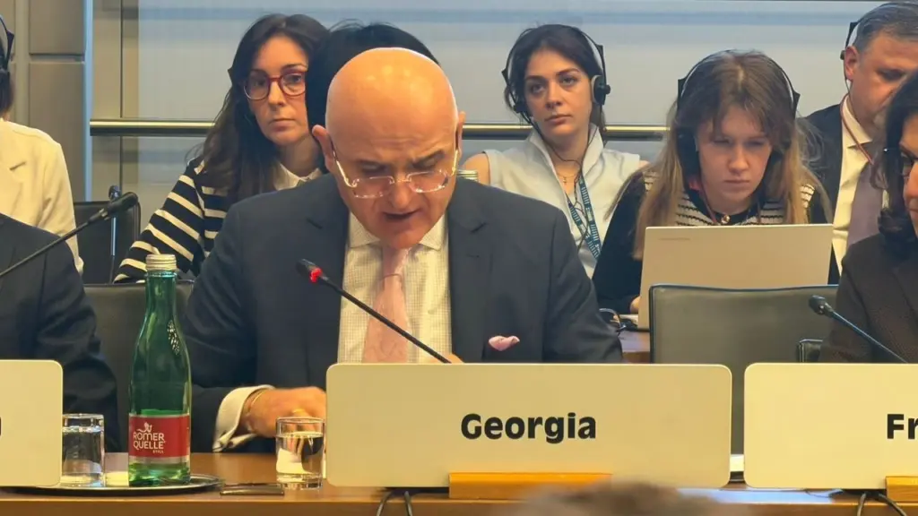 Tbilisi ‘Vigorously Rejects’ OSCE Findings as Member States Call to Fulfill Recommendations – Civil Georgia