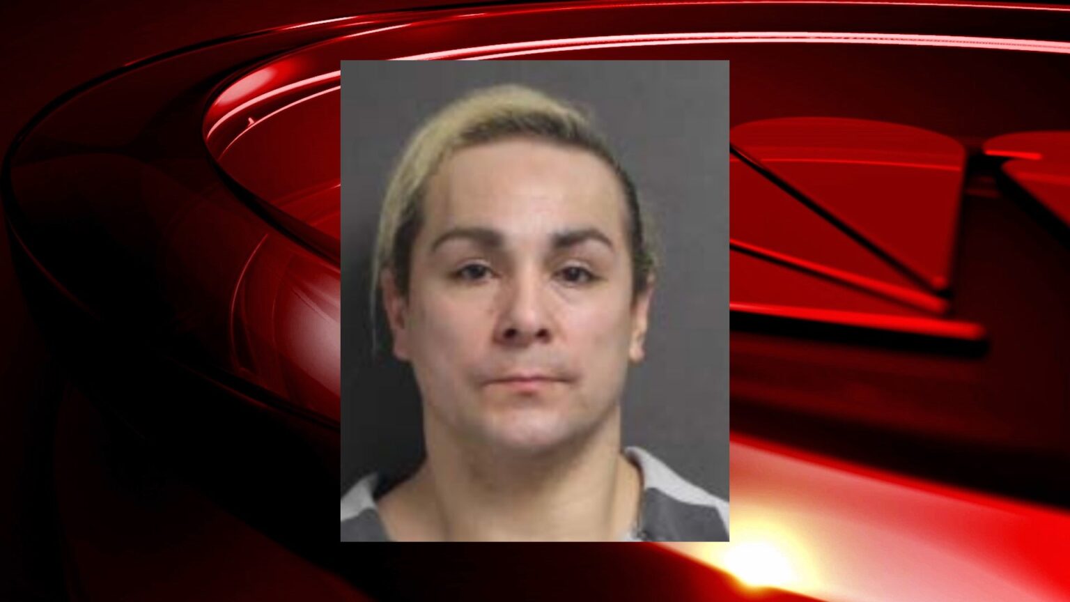 Malta man charged for animal cruelty, dogs rescued on Route 9