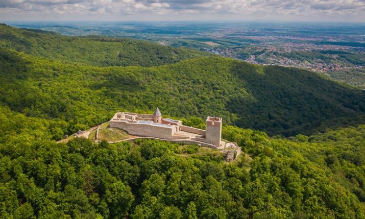 Croatia among Europe’s most forested nations as nearly half the country is covered by forests