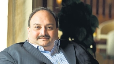 Fugitive diamantaire Mehul Choksi. (HT Photo) Fugitive diamantaire Mehul Choksi. (HT Photo)