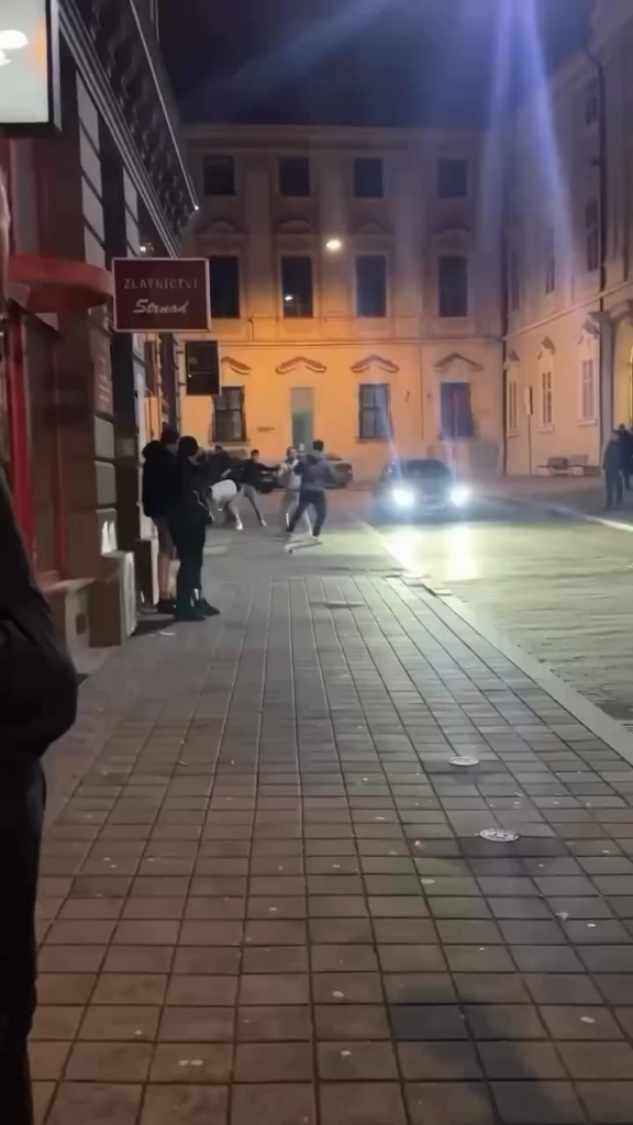 Unpopular opinion - foreigners who commit violence should lose their visas