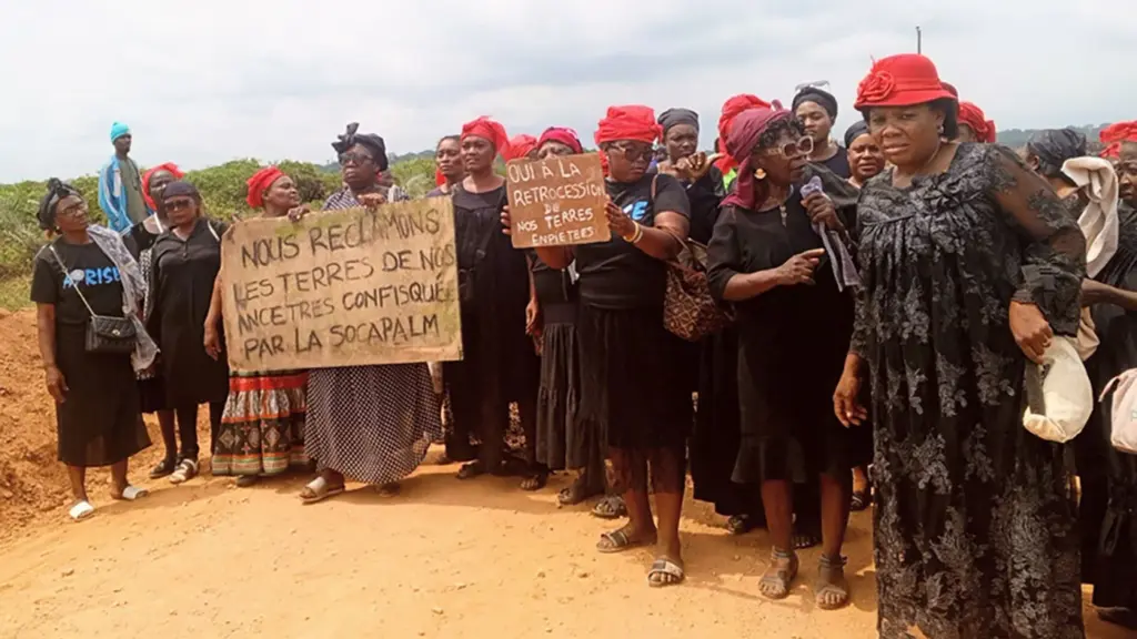 Norway pension fund drops Bolloré over Cambodia and Indonesia abuse claims