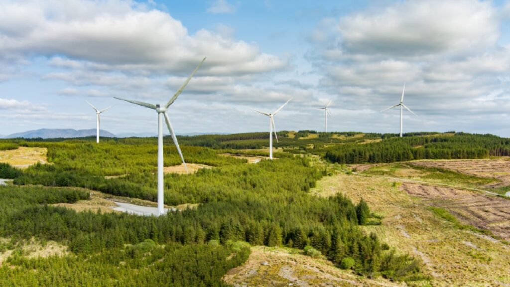 Cloudberry to acquire 50% stake in onshore wind farm in Finland