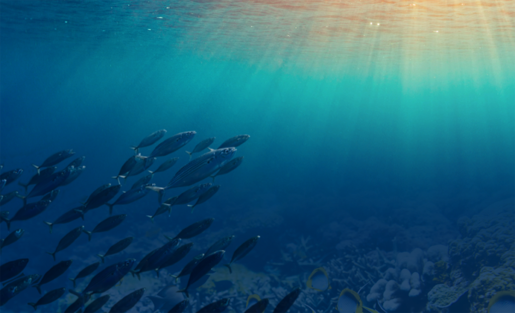 Powering the Blue Economy Report