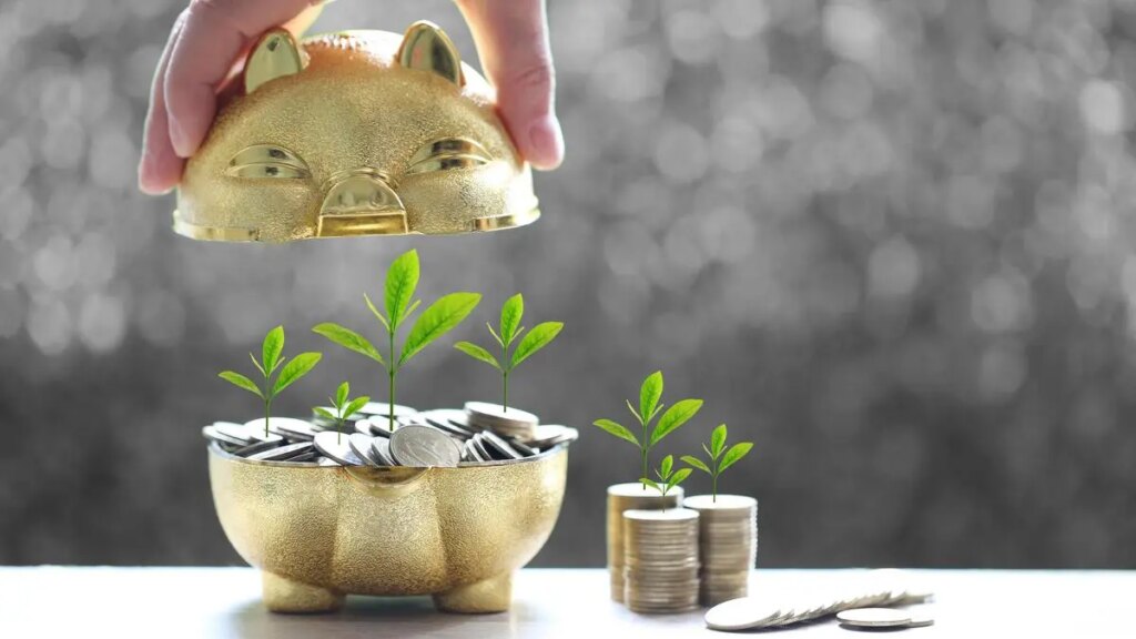 BlackSoil Capital raises ₹200 cr from Impact Fund Denmark for climate lending