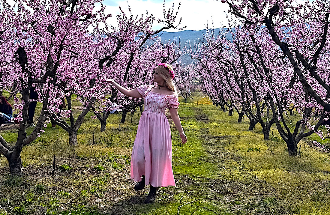 Peach-Blossom__Imathia