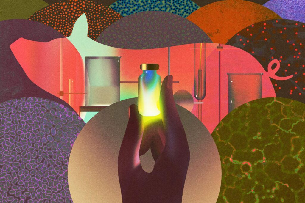 The $3,000 Minipig Powering Europe’s Drug Pipeline