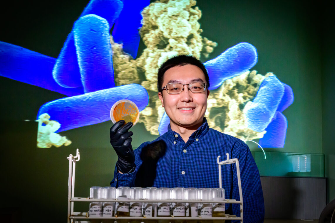 Microbiology Professor Wei Qin work focuses on an abundant microbial group that populates the deep ocean where warming and iron limitation have a major impact on ocean circulation and climate change. In the background is a projected image of a cell that is an abundant ammonia-oxidizing archaea in the deep ocean. Photo taken at the University of Illinois Urbana-Champaign on Wednesday, Feb. 11, 2026. (Photo by Fred Zwicky / University of Illinois Urbana-Champaign)
