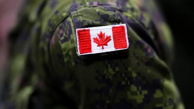 Canadian Armed Forces members among NATO troops pulled out of Iraq