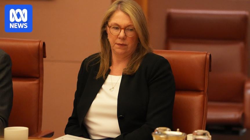 Australia will not send navy ship to Strait of Hormuz, Transport Minister says