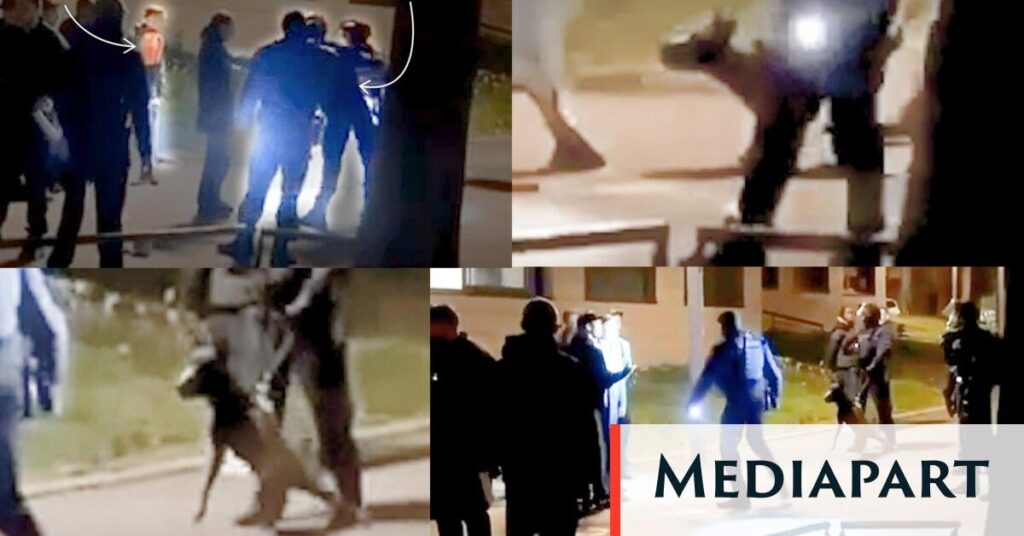 “My neck was in the dog’s mouth”: a young man seriously injured during a police check