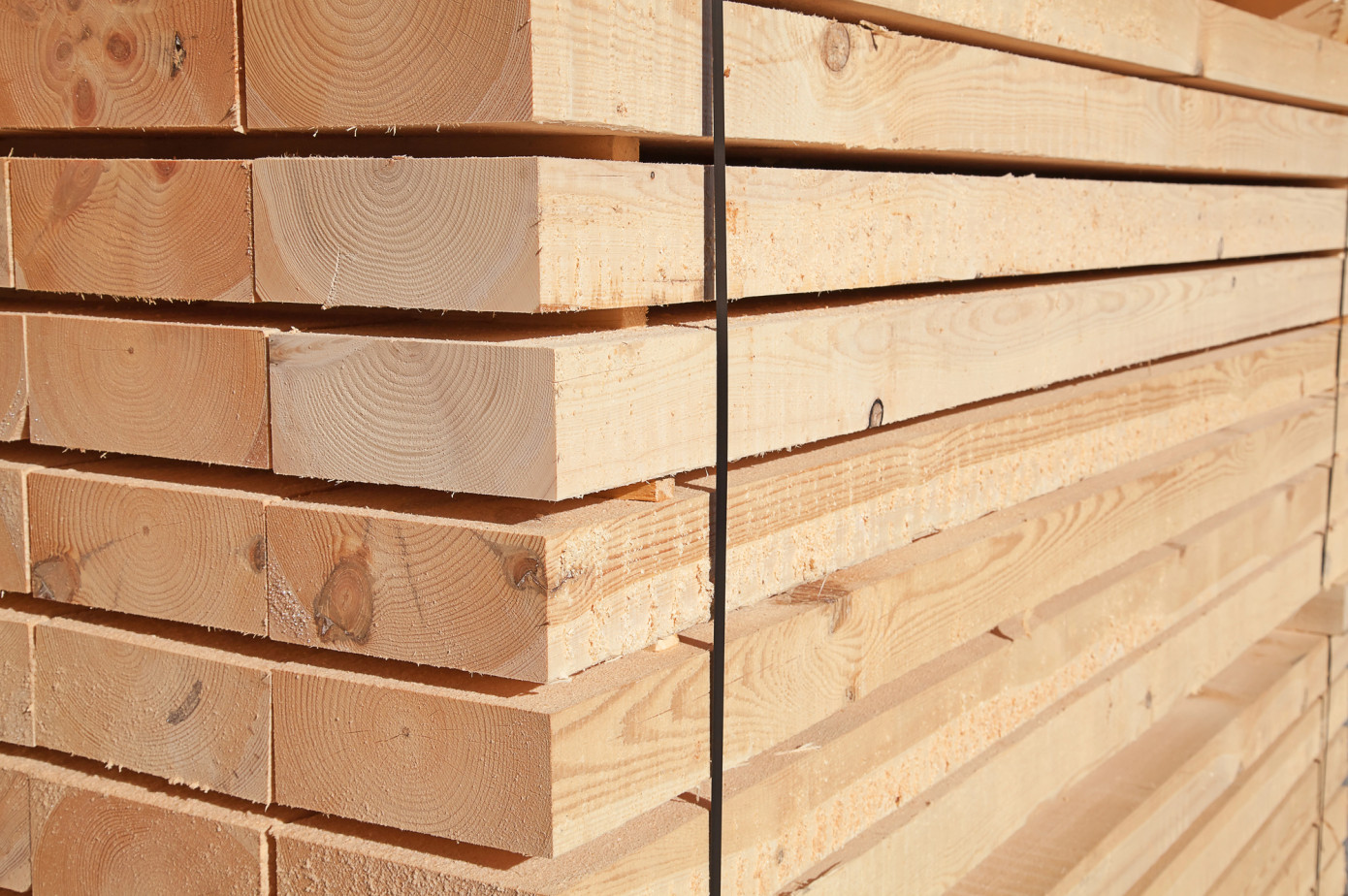 Exports of lumber from Belarus to China expand 40% in February