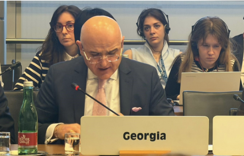 Georgian authorities on the OSCE Moscow Mechanism report