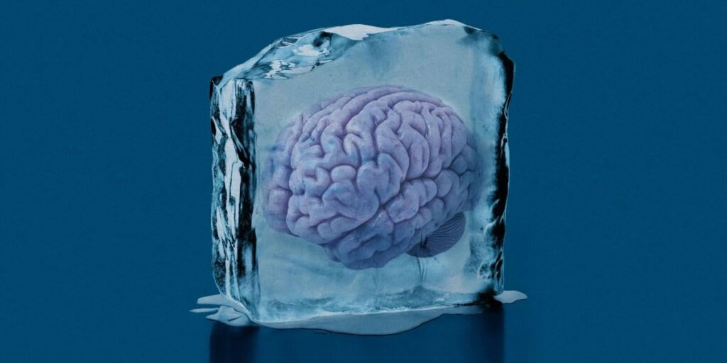 This scientist rewarmed and studied pieces of his friend’s cryopreserved brain