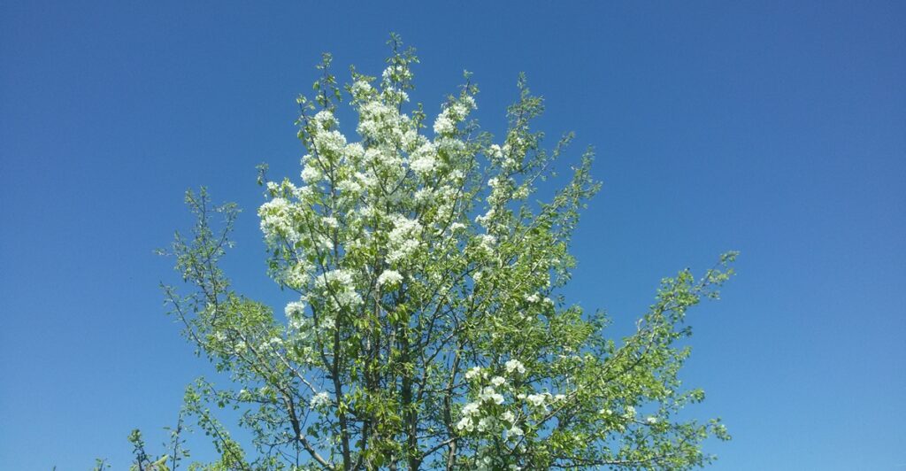 Bulgaria’s March 2026 temperatures deviated from monthly norm – The Sofia Globe