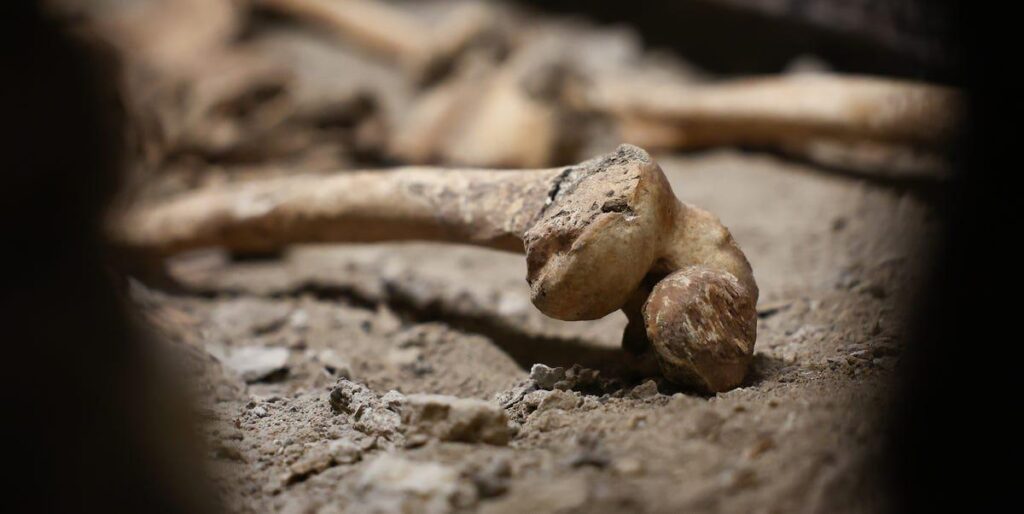 Experts Analyzed Neanderthal Bones—And Reached a Horrifying Conclusion