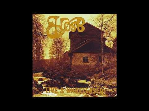 Found and wanted to share this stunning live version of Høst - På Sterke Vinger. Stunning track.