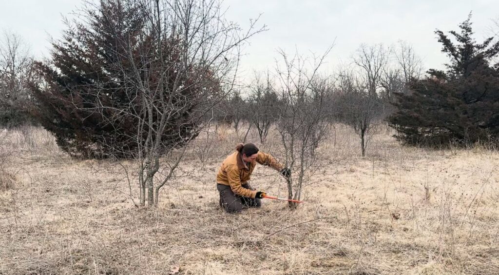 Environmental groups are worried about Knowles-Nelson