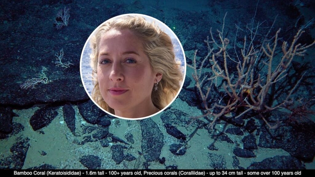 Lord Howe Rise deep-sea coral ‘proof’ ramps up bottom trawling clash