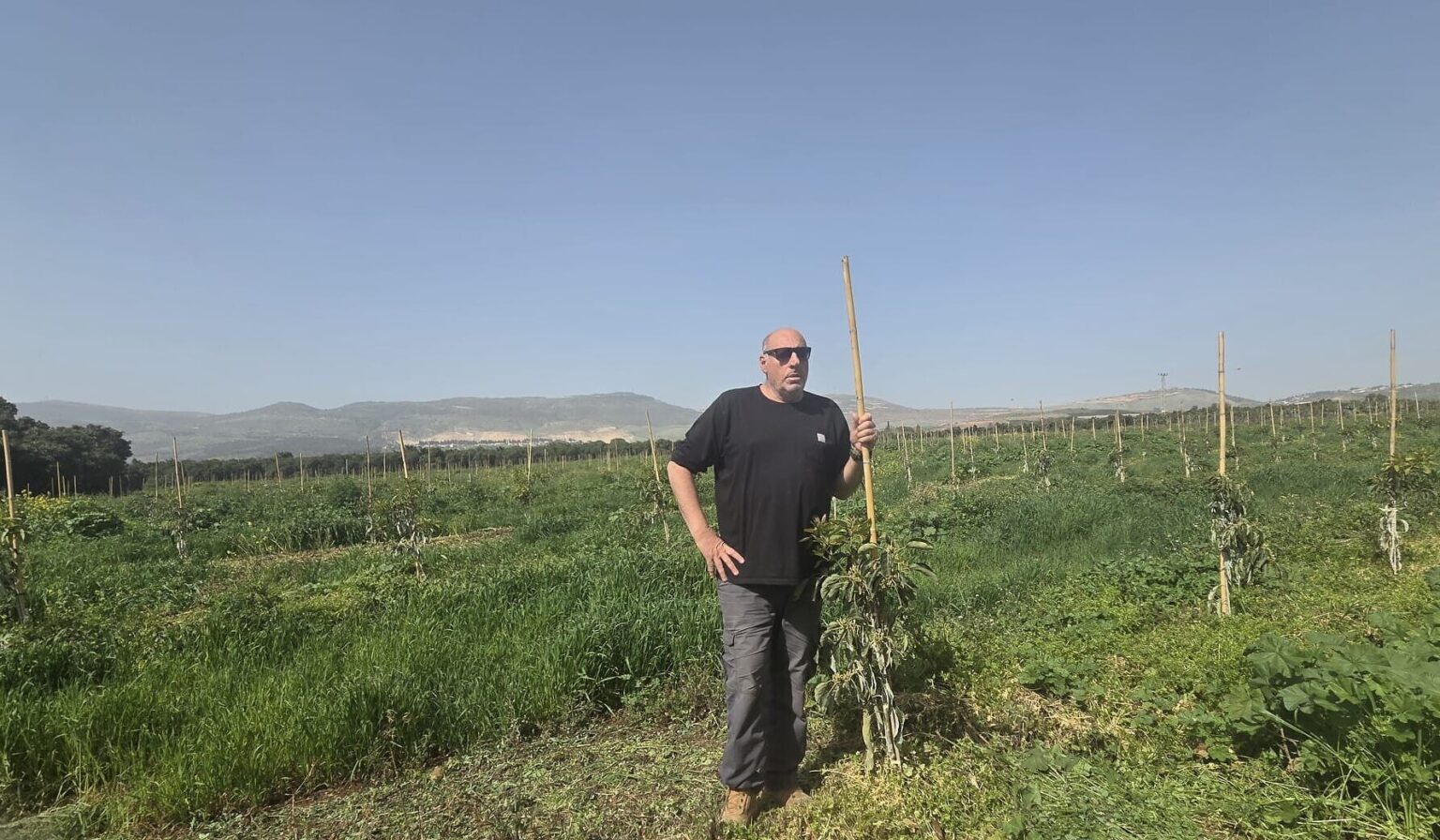 As Hezbollah strongholds crop back up, northern farmers regrow destroyed fields