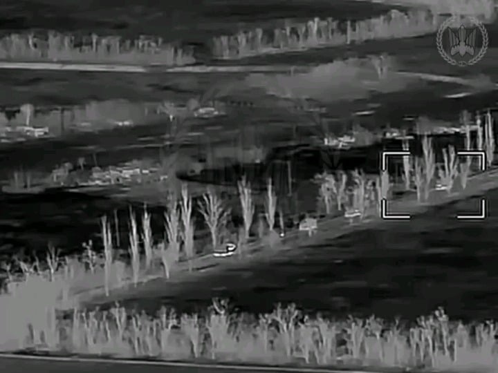 Ukrainian Wormbusters of the 414th UAS Brigade "Magyar's Birds" destroyed a Russian assault column in the Huliaipole direction. Published 22.03.2026