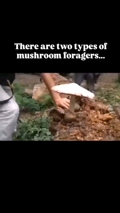 U/KosaBrin recorded in its natural environment!