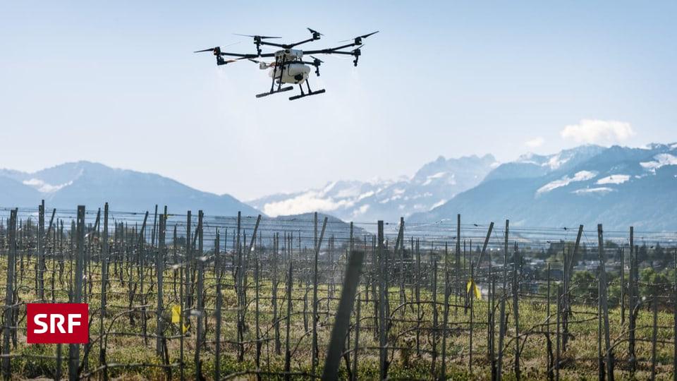 Legal issues in daily life - Am I allowed to shoot down a drone that is filming me?