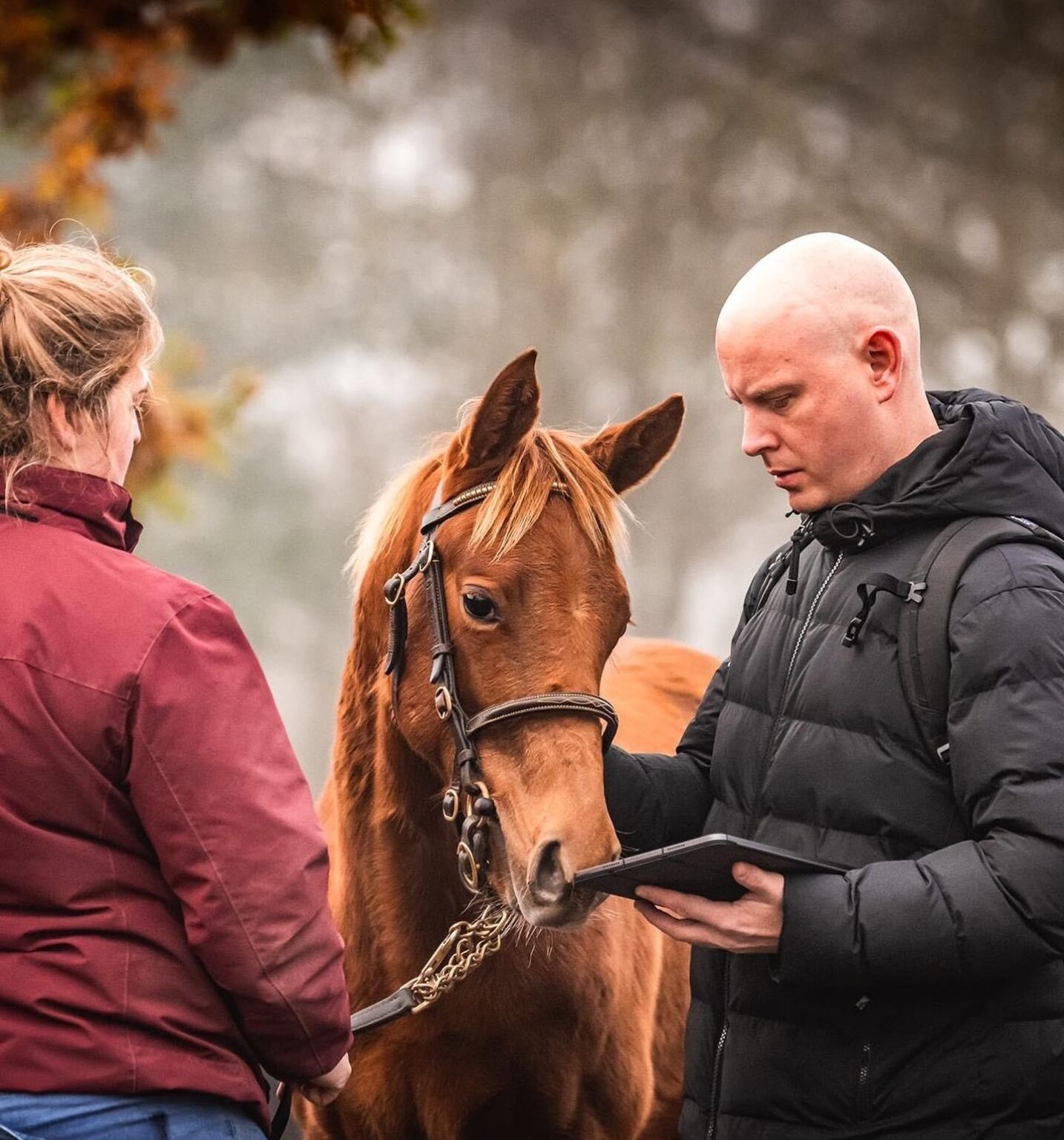 Denmark continues to punch above its weight