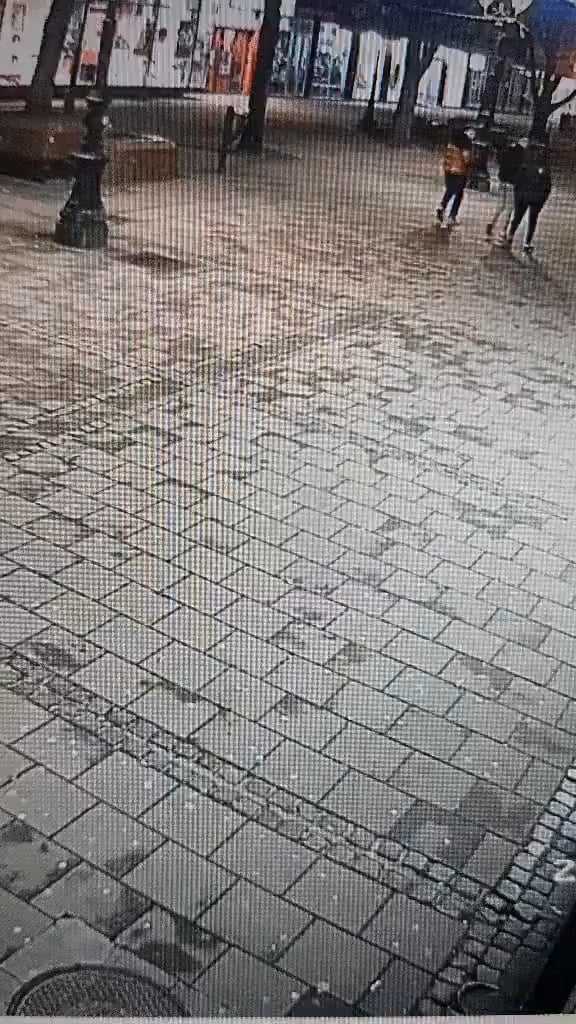 Ćaci, who attacked Local Front member Vladan Stanković on the street, did not have the time he expected