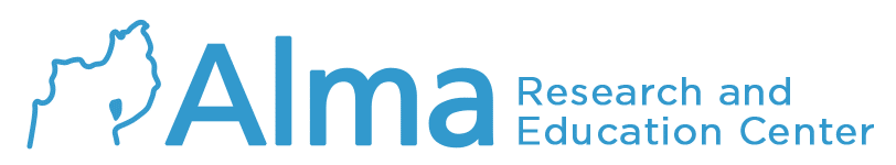 Iranian Paveh Cruise Missile (351) Supplied to Lebanese Hezbollah