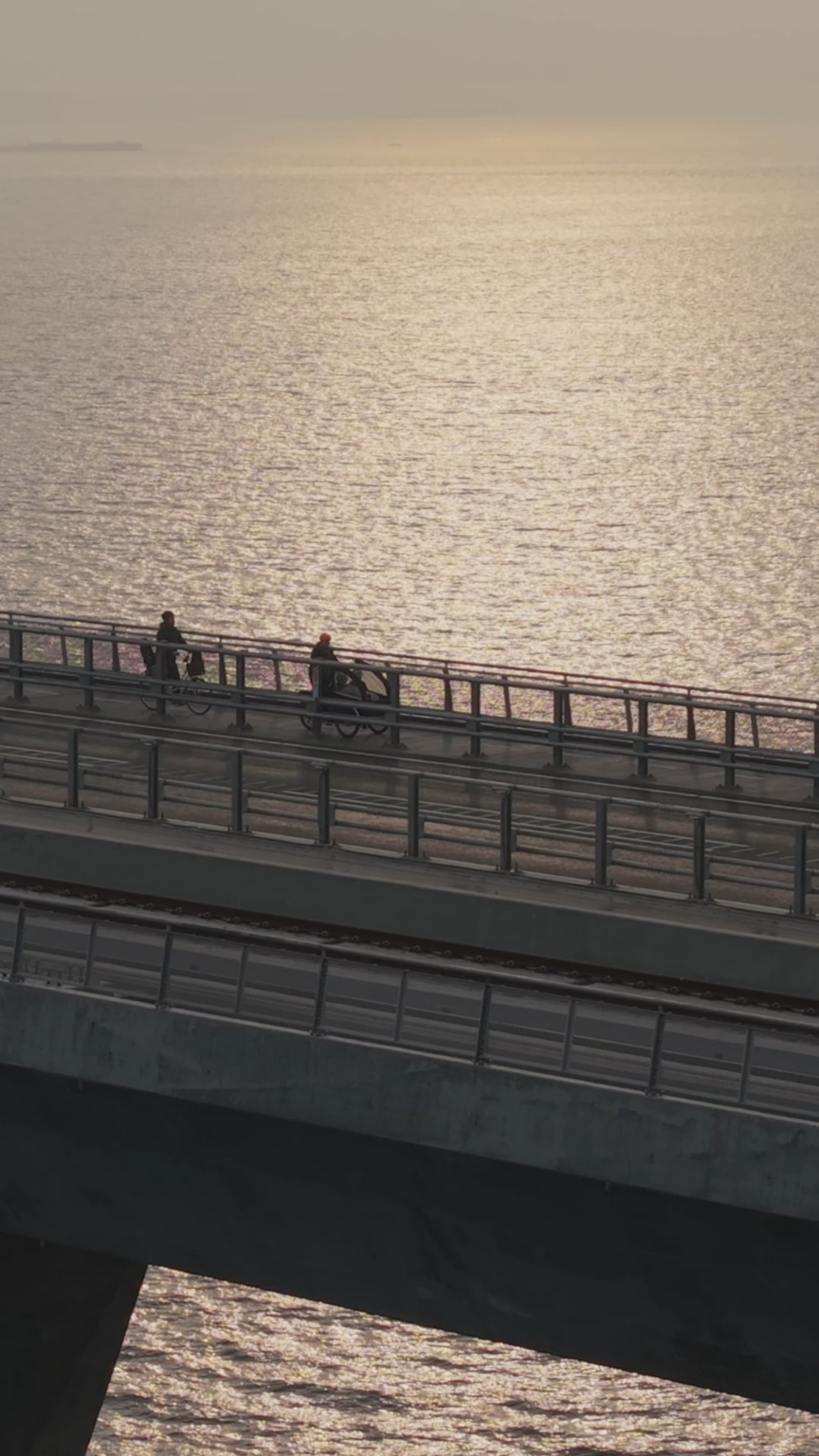 Today, Queen Margrethe II's bridge opened