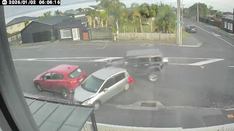 Aries Chen told 1News her family's cars were both smashed while parked on the street in Bayswater two months ago.