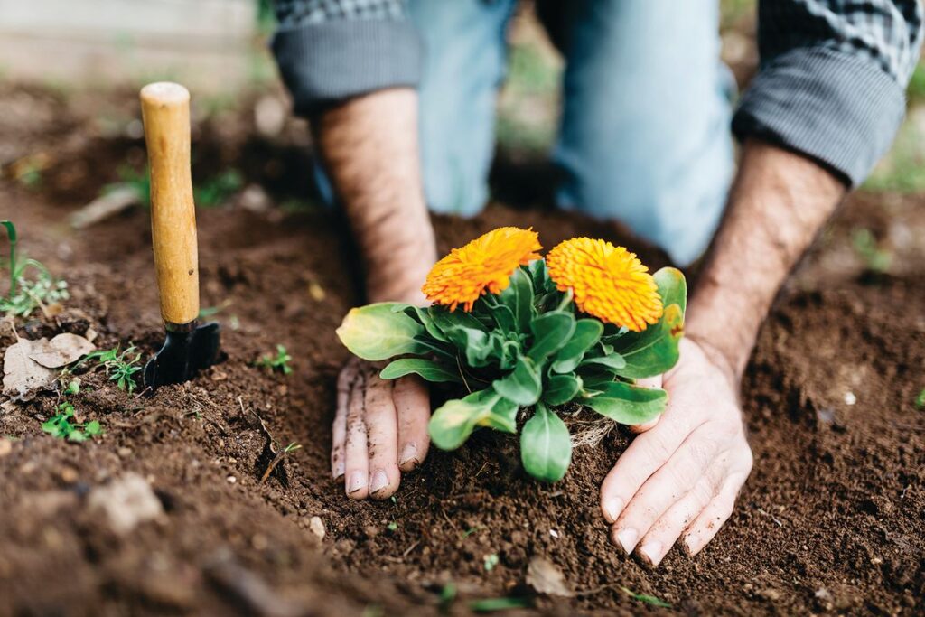 How Planting Boosts Health, Happine...