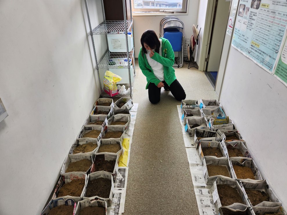 A young Japanese woman kneels on the floor flanked by two double rows of containers filled with different colors of dirt.