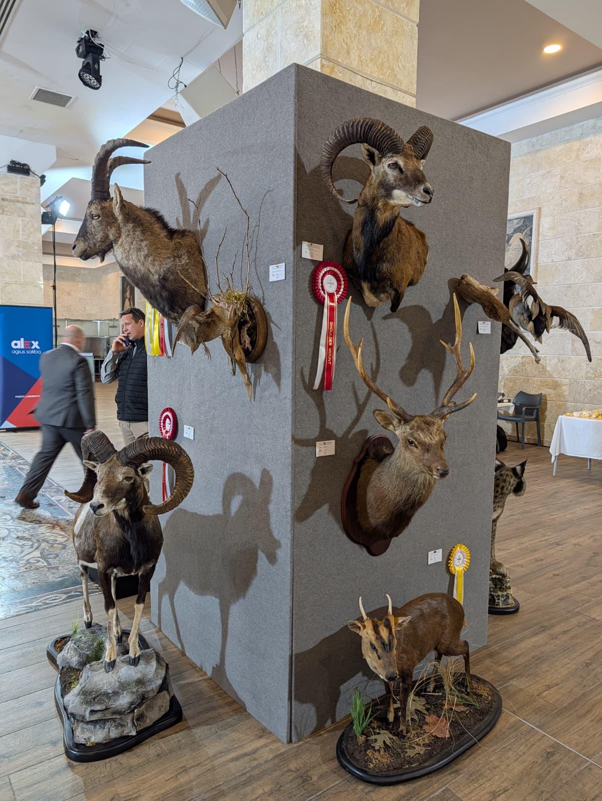 Various prize winning specimens Photo: Chris Sant Fournier