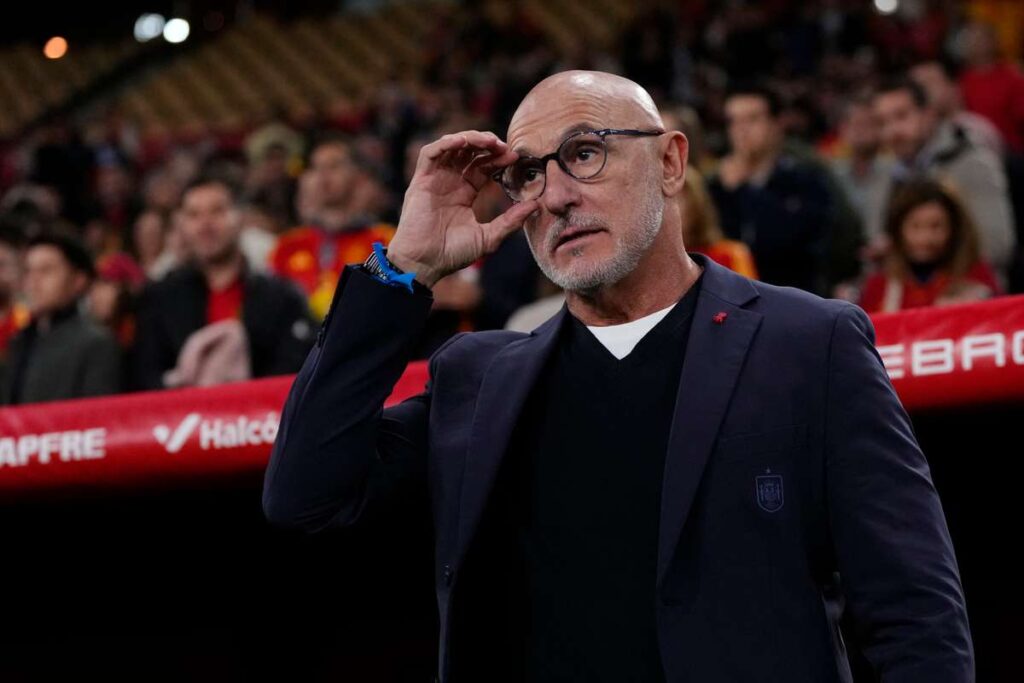 Spain boss De la Fuente happy with challenge of being World Cup favourites