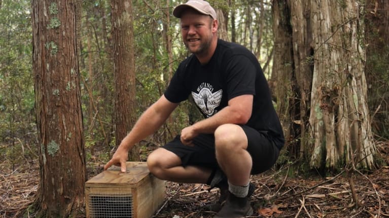 Brad Windust says he was "absolutely thrilled" to find native bats had survived in Ōpua Forest. Photo: Peter de Graaf