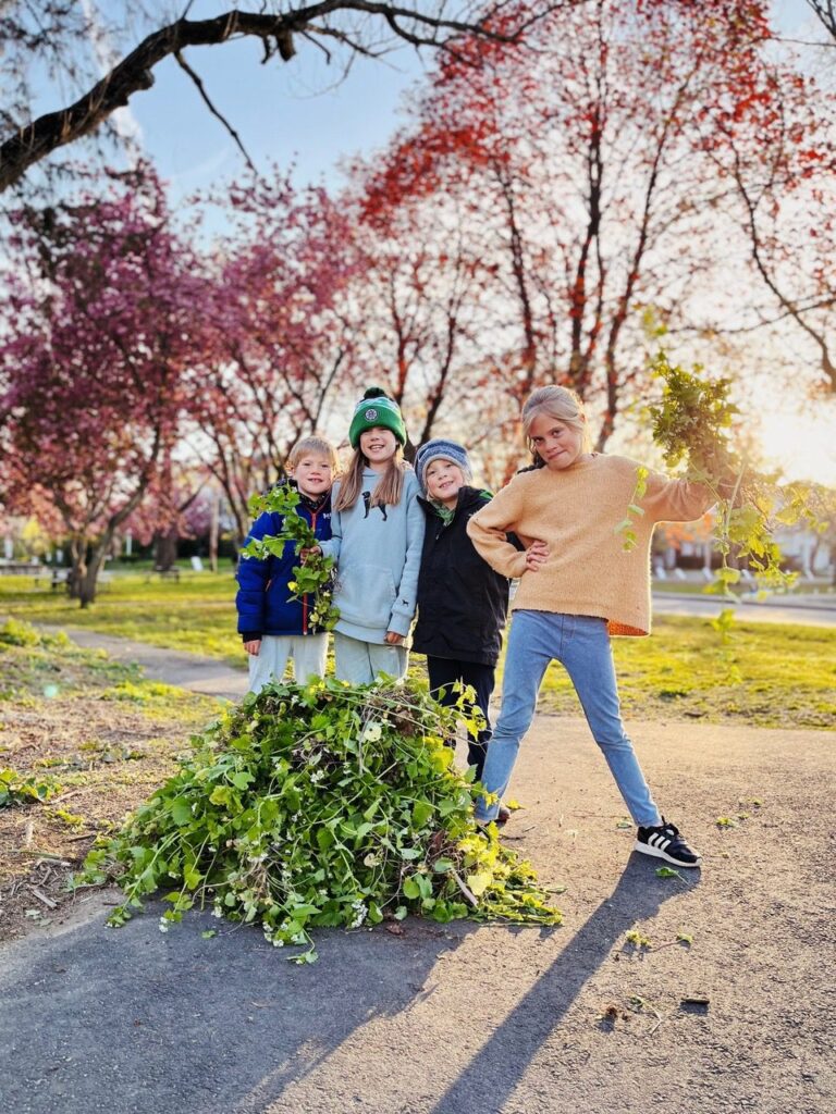 Environmental Opportunities for Hingham Residents