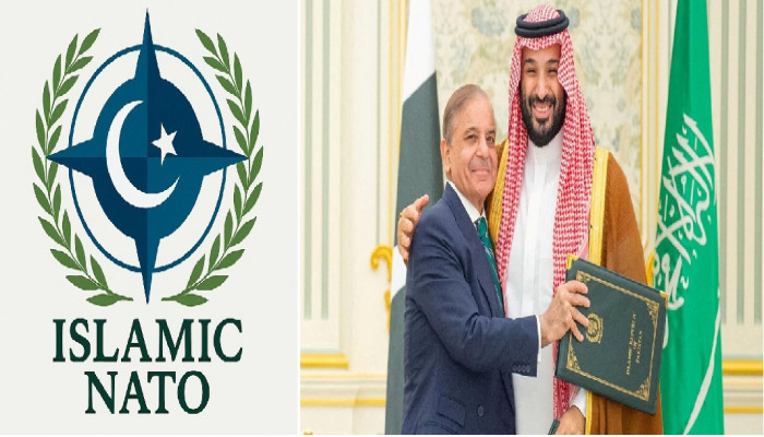 The SDMA and the Question of an “Islamic NATO Implications for India” 
