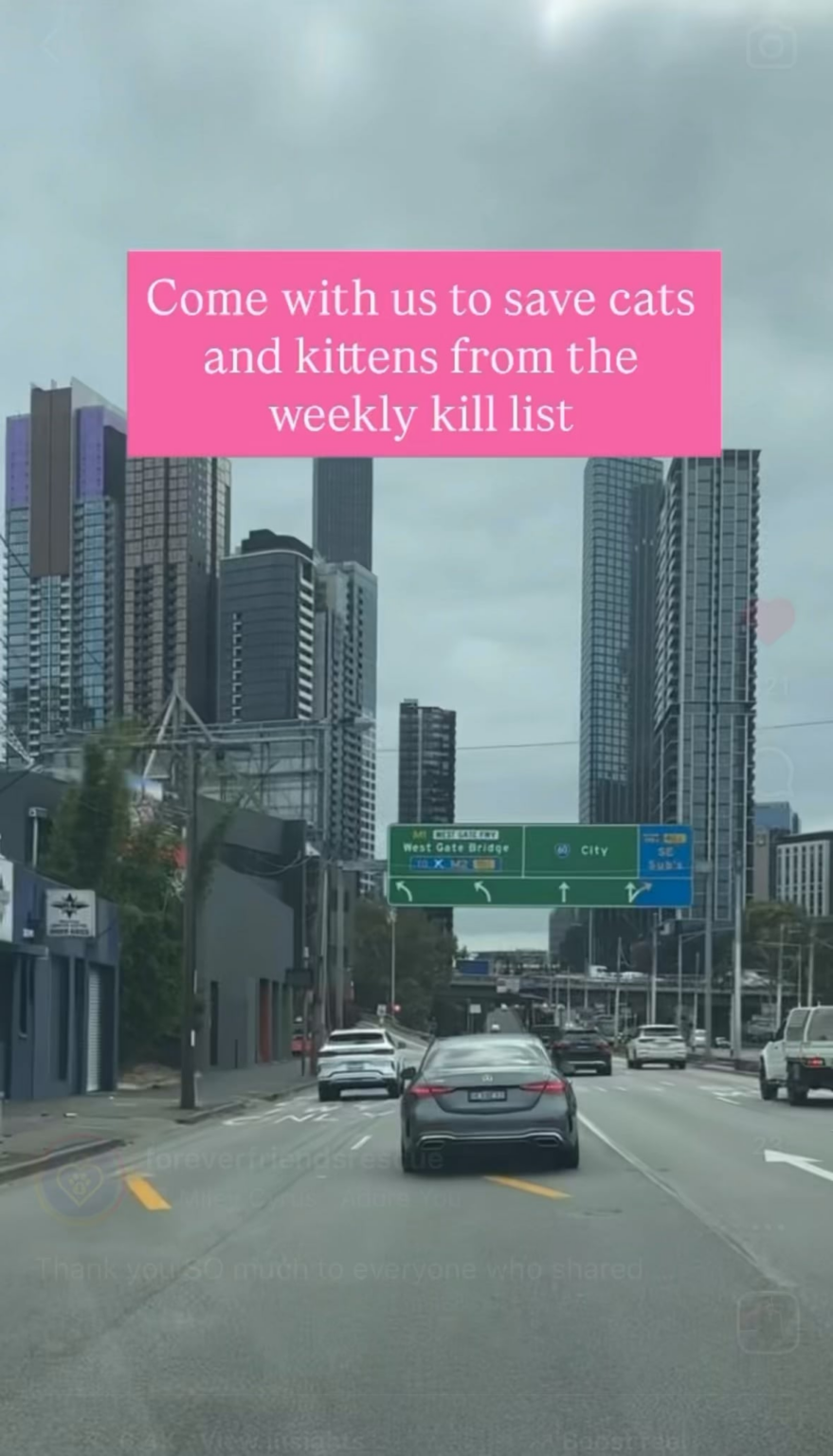 Thank you legends!! Thank you legends!!