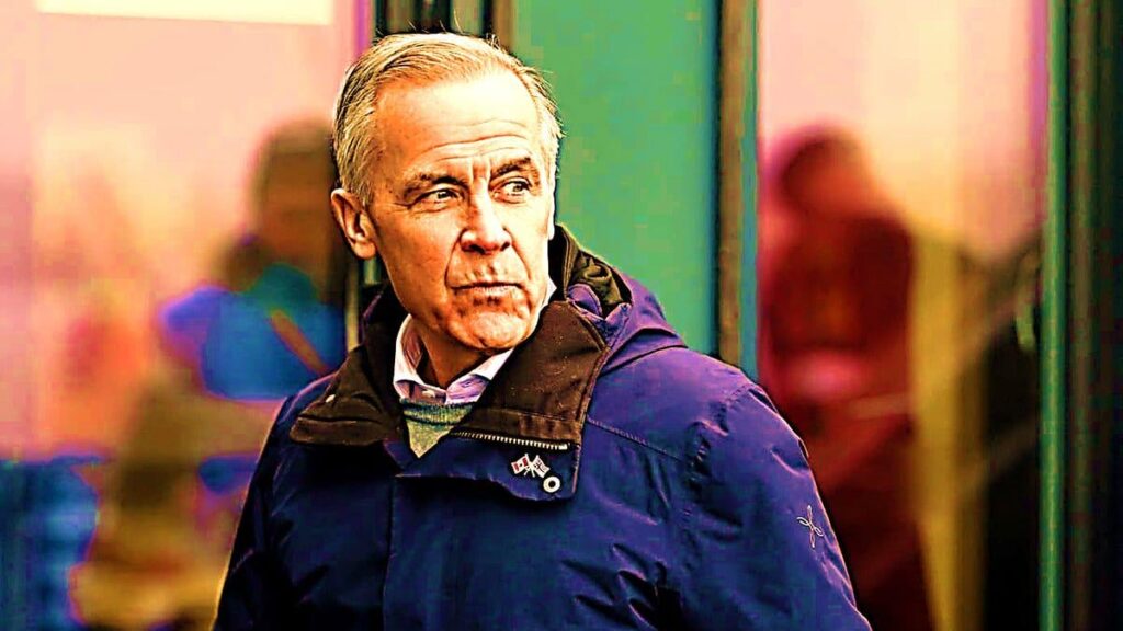 338 Sunday Update: No Longer a Blip for the Liberals